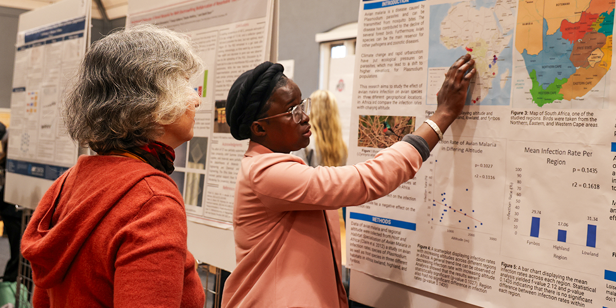 Research festival student presenting