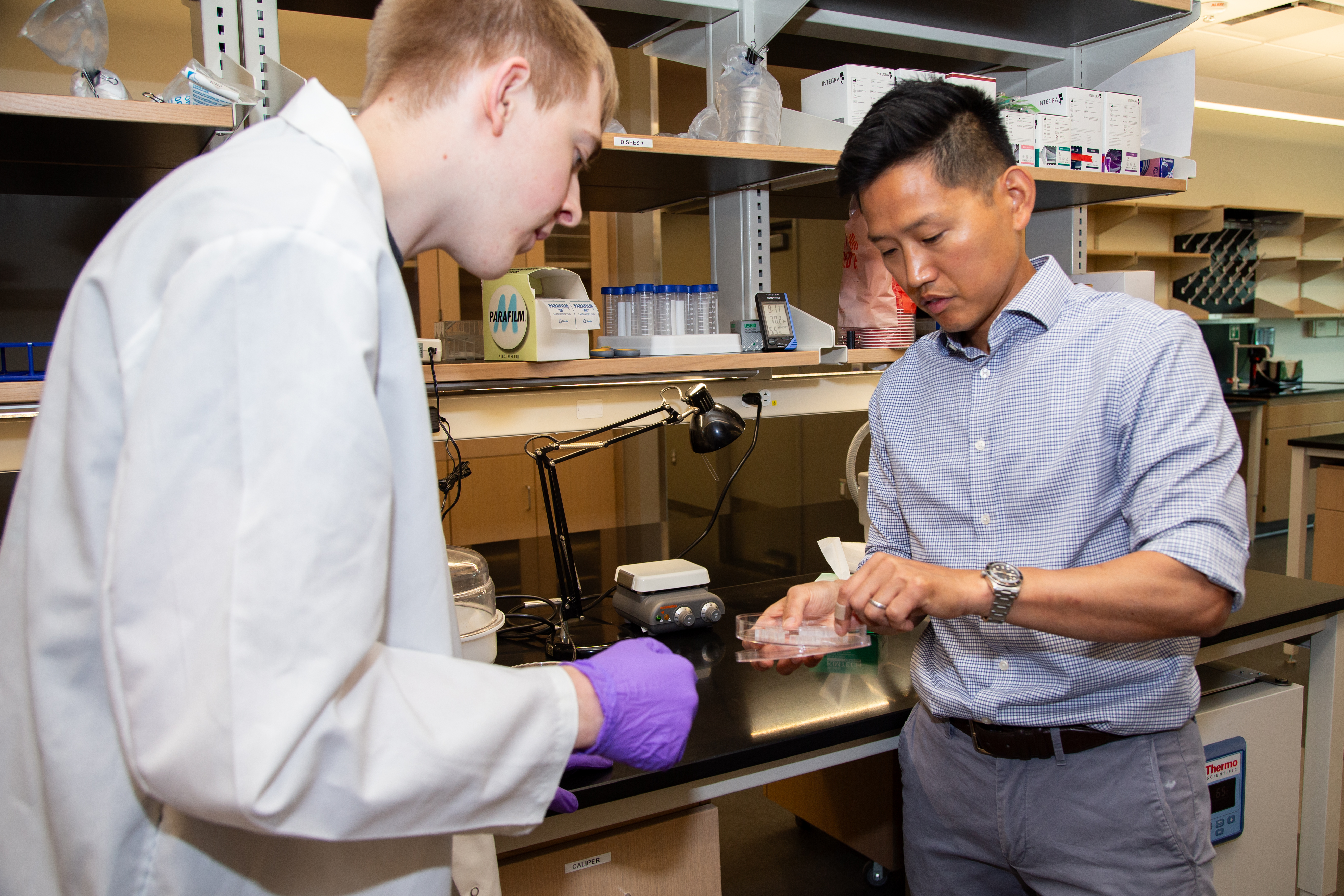 Student and research mentor