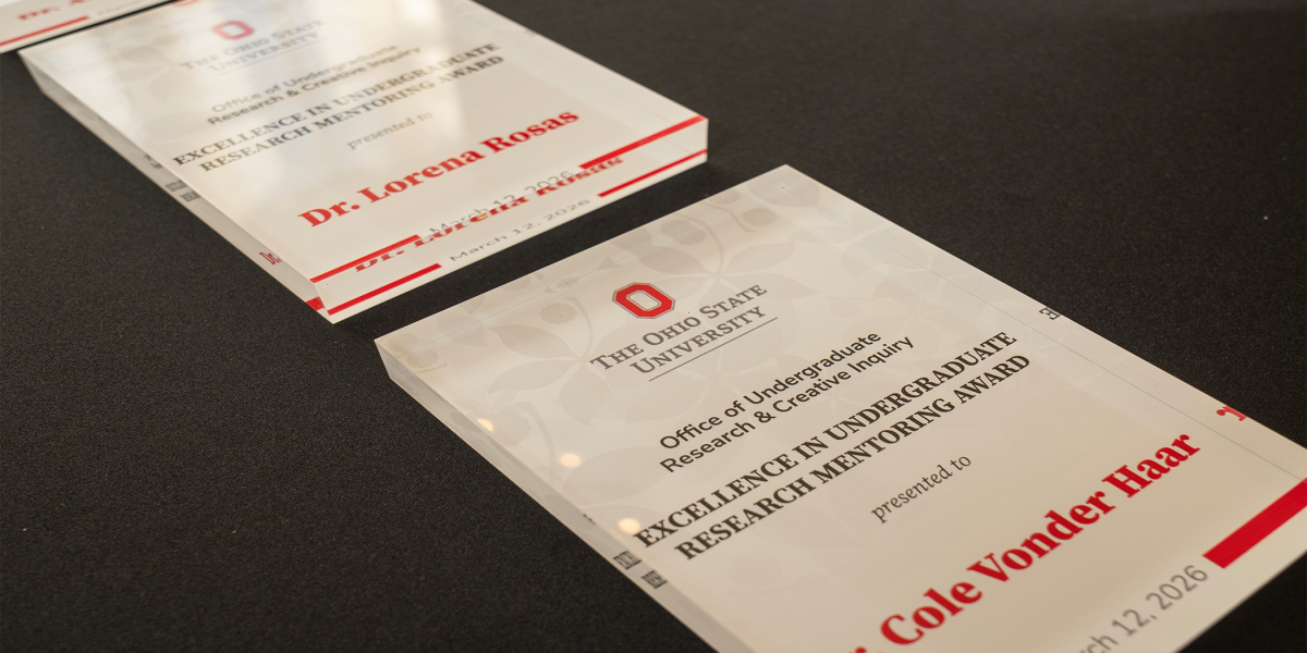 Mentor Awards displayed on black table cloth showcasing the individualized awardees