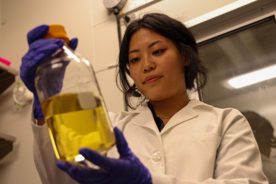 Emma Research Lab