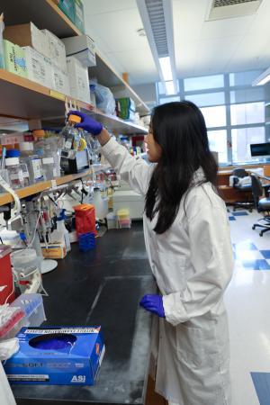 A person in a lab coat and purple gloves works in a laboratory, reaching for a container on a shelf. 