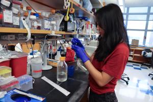 A person in a laboratory setting, wearing gloves and handling lab equipment.
